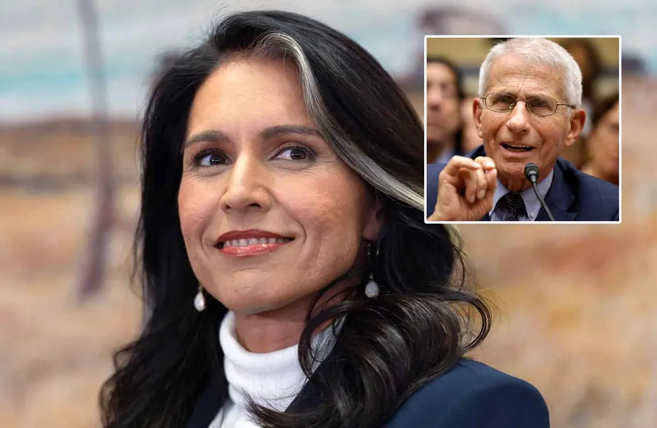 Tulsi Gabbard Accuses Anthony Fauci of Lying Under Oath in Megyn Kelly Interview [WATCH]